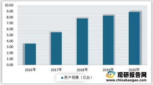 音乐节的市场分析