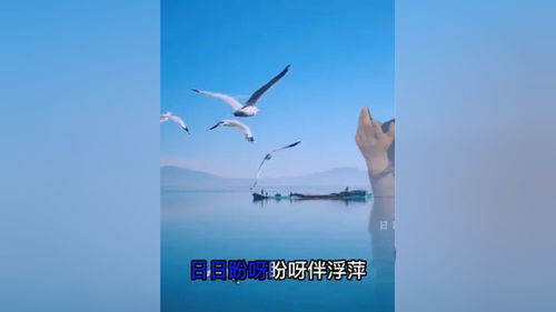 音乐情感表达的概念和特点有哪些