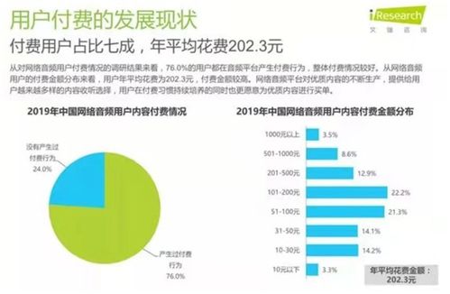 音乐版权份额